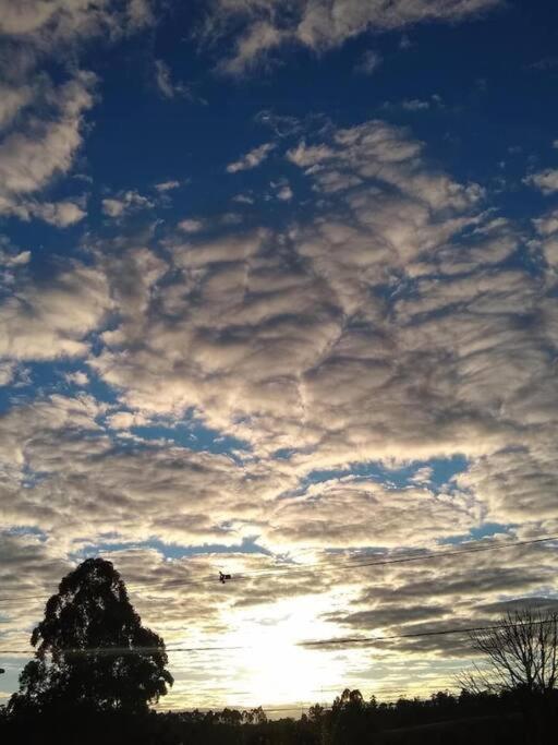 Chale Aconchegante Em Estancia Climatica سانتو انطونيو دو ليته المظهر الخارجي الصورة