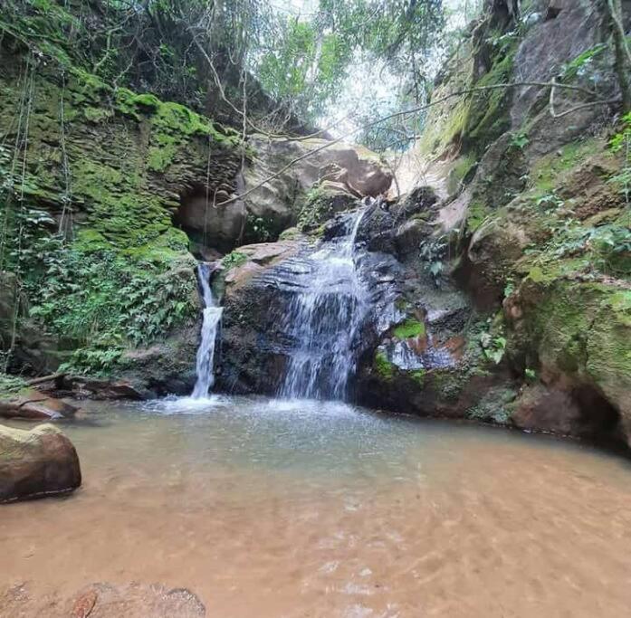 Chale Aconchegante Em Estancia Climatica سانتو انطونيو دو ليته المظهر الخارجي الصورة