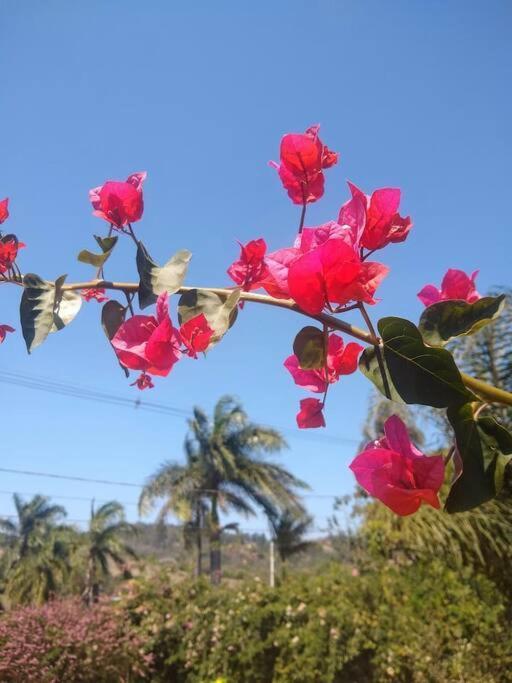 Chale Aconchegante Em Estancia Climatica سانتو انطونيو دو ليته المظهر الخارجي الصورة