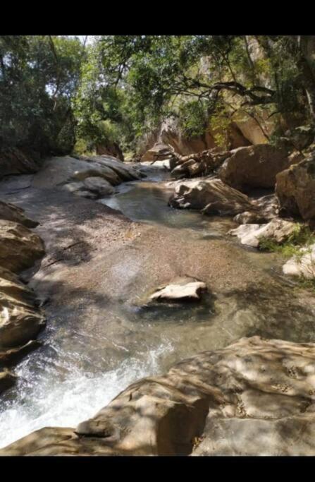 Chale Aconchegante Em Estancia Climatica سانتو انطونيو دو ليته المظهر الخارجي الصورة