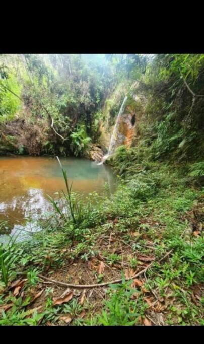 Chale Aconchegante Em Estancia Climatica سانتو انطونيو دو ليته المظهر الخارجي الصورة