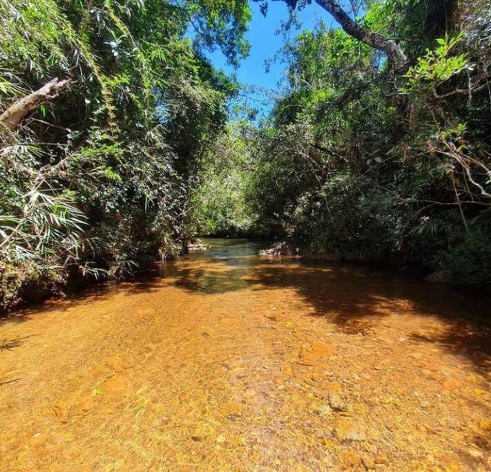 Chale Aconchegante Em Estancia Climatica سانتو انطونيو دو ليته المظهر الخارجي الصورة